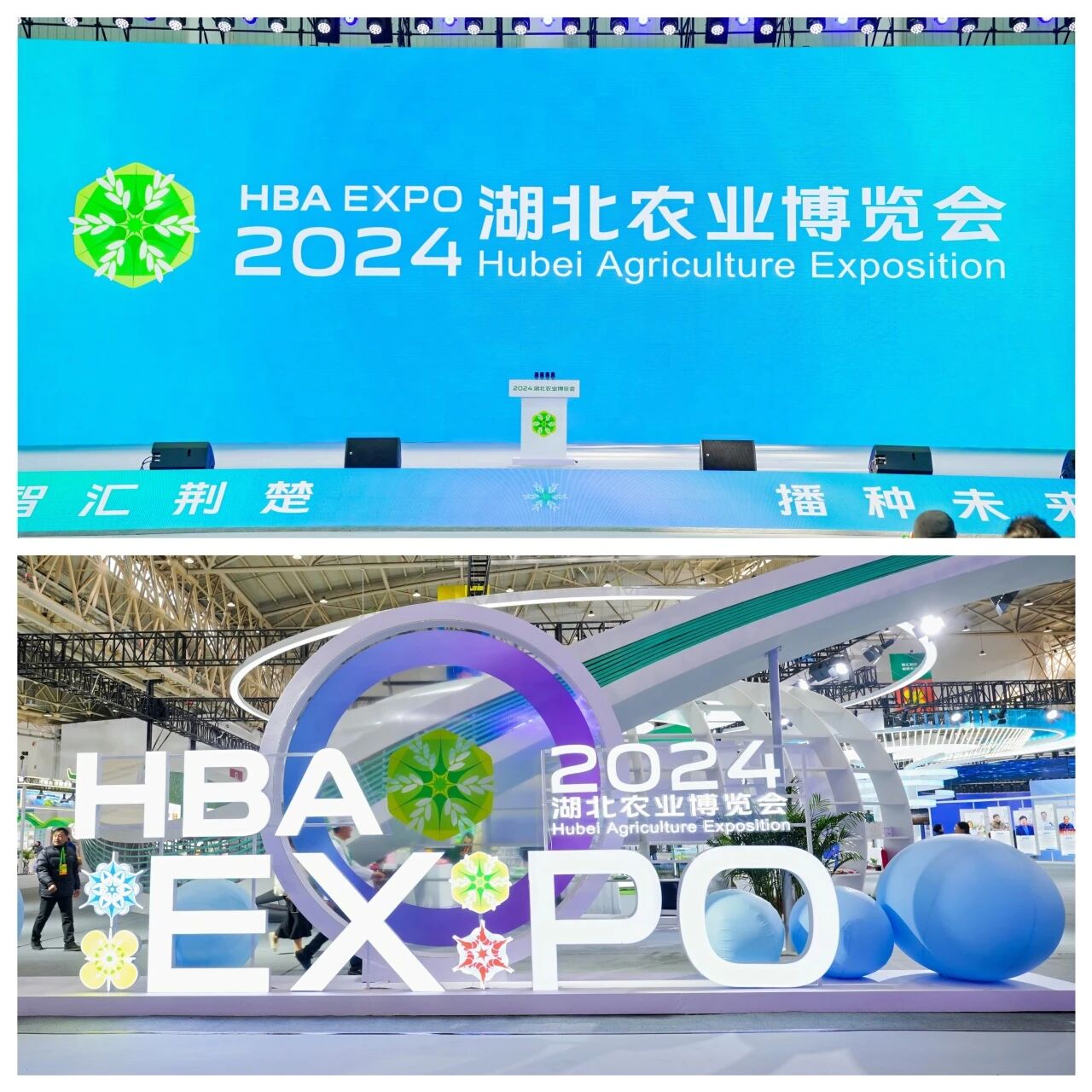 微信图片_2026-05-29_141915_857.jpg
