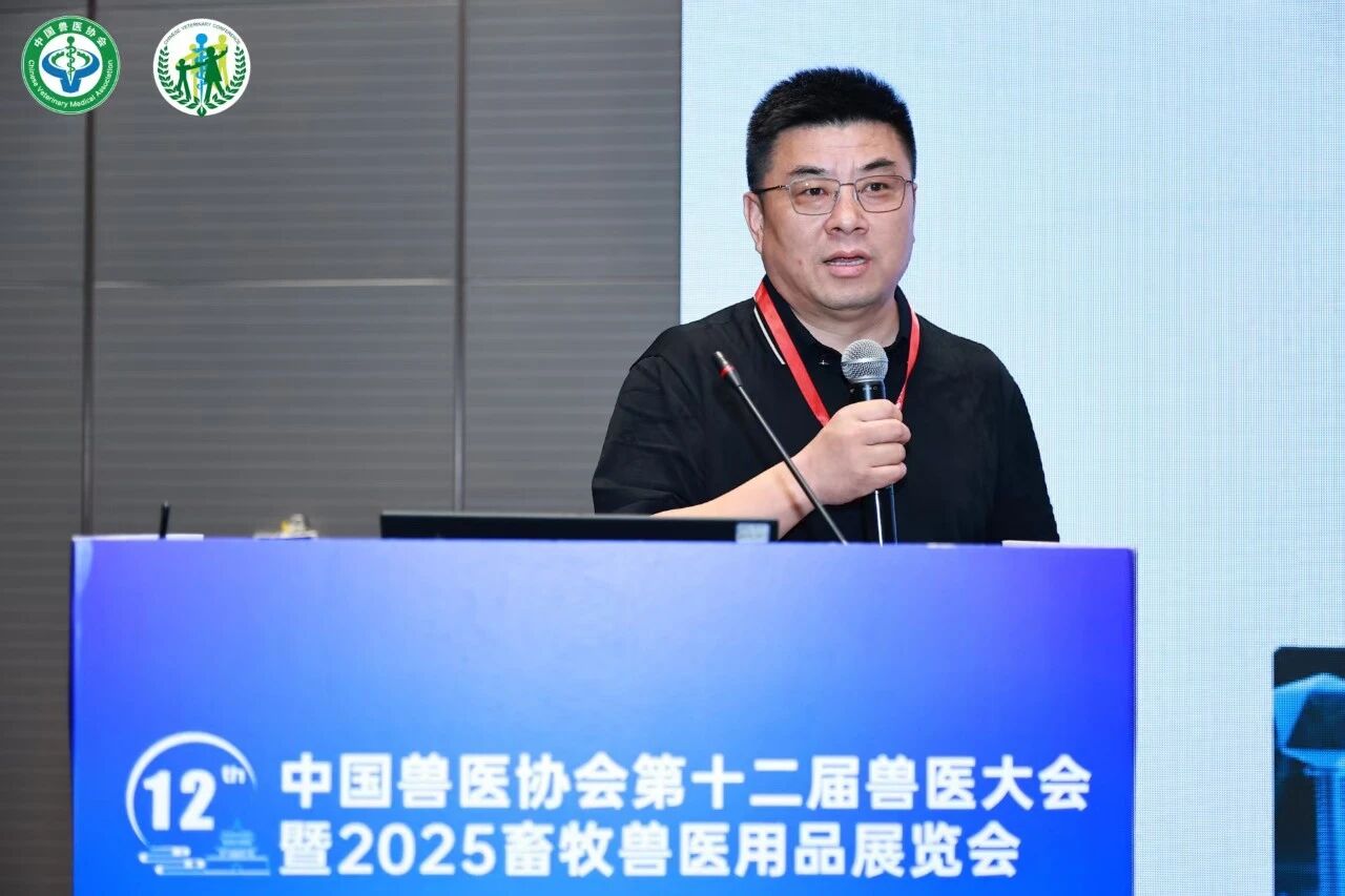 微信图片_2026-06-02_100406_292.jpg 微信图片_2026-06-02_100406_292.jpg