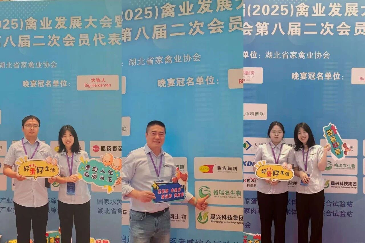 微信图片_2026-06-02_153930_801.jpg