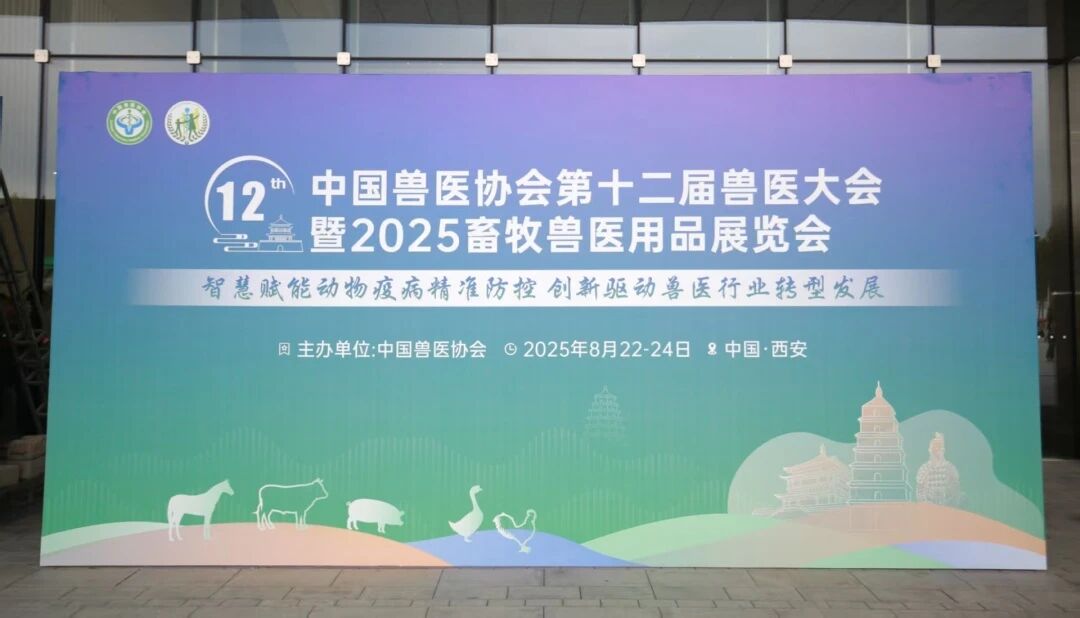 微信图片_2026-06-02_100358_309.jpg 微信图片_2026-06-02_100358_309.jpg