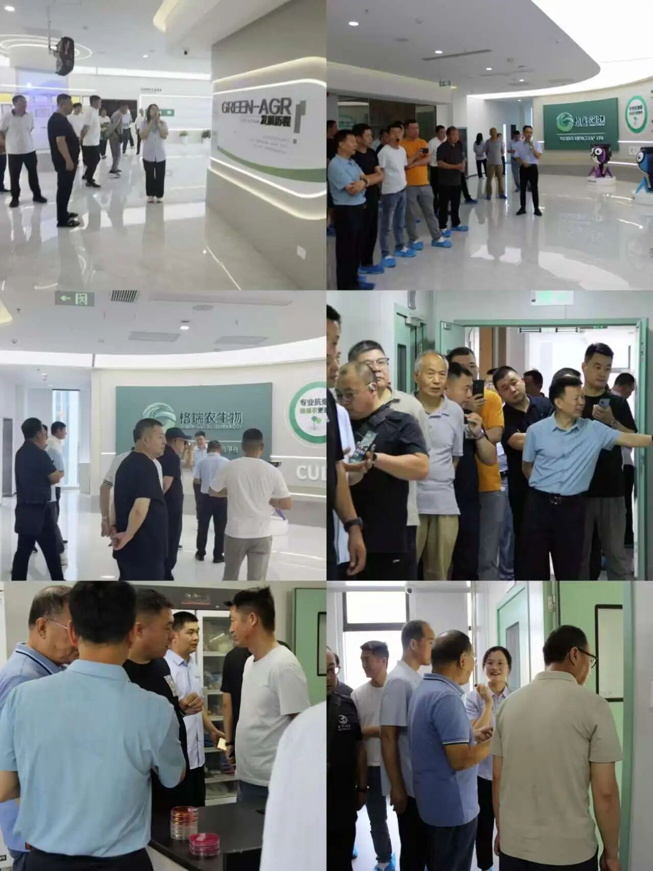 微信图片_2026-06-02_142226_854.jpg 微信图片_2026-06-02_142226_854.jpg