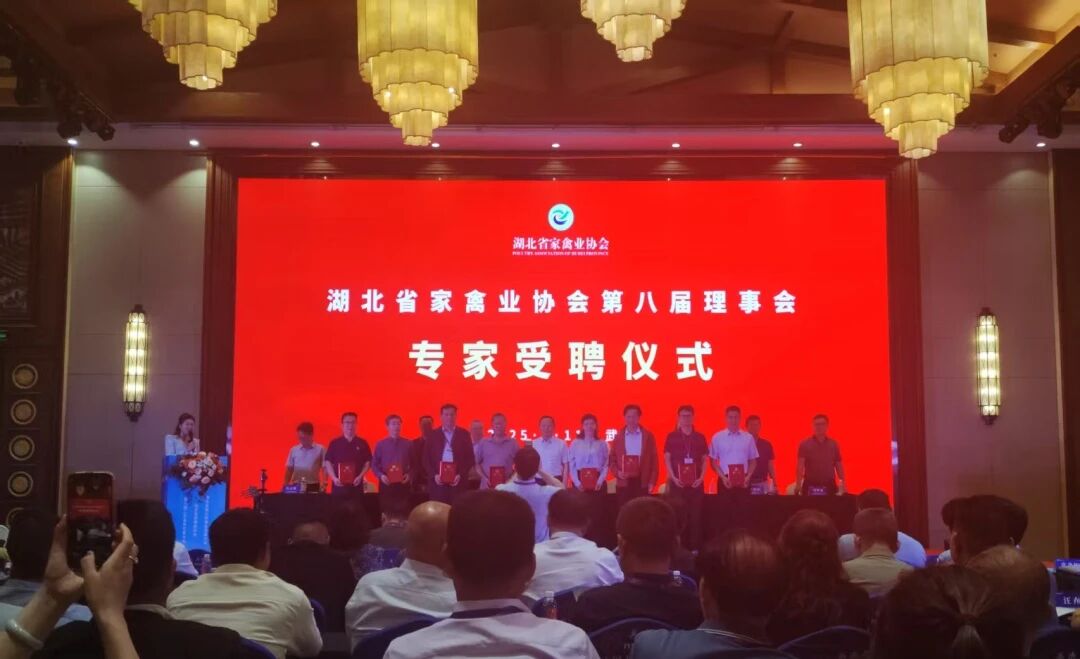 微信图片_2026-06-02_153907_961.jpg