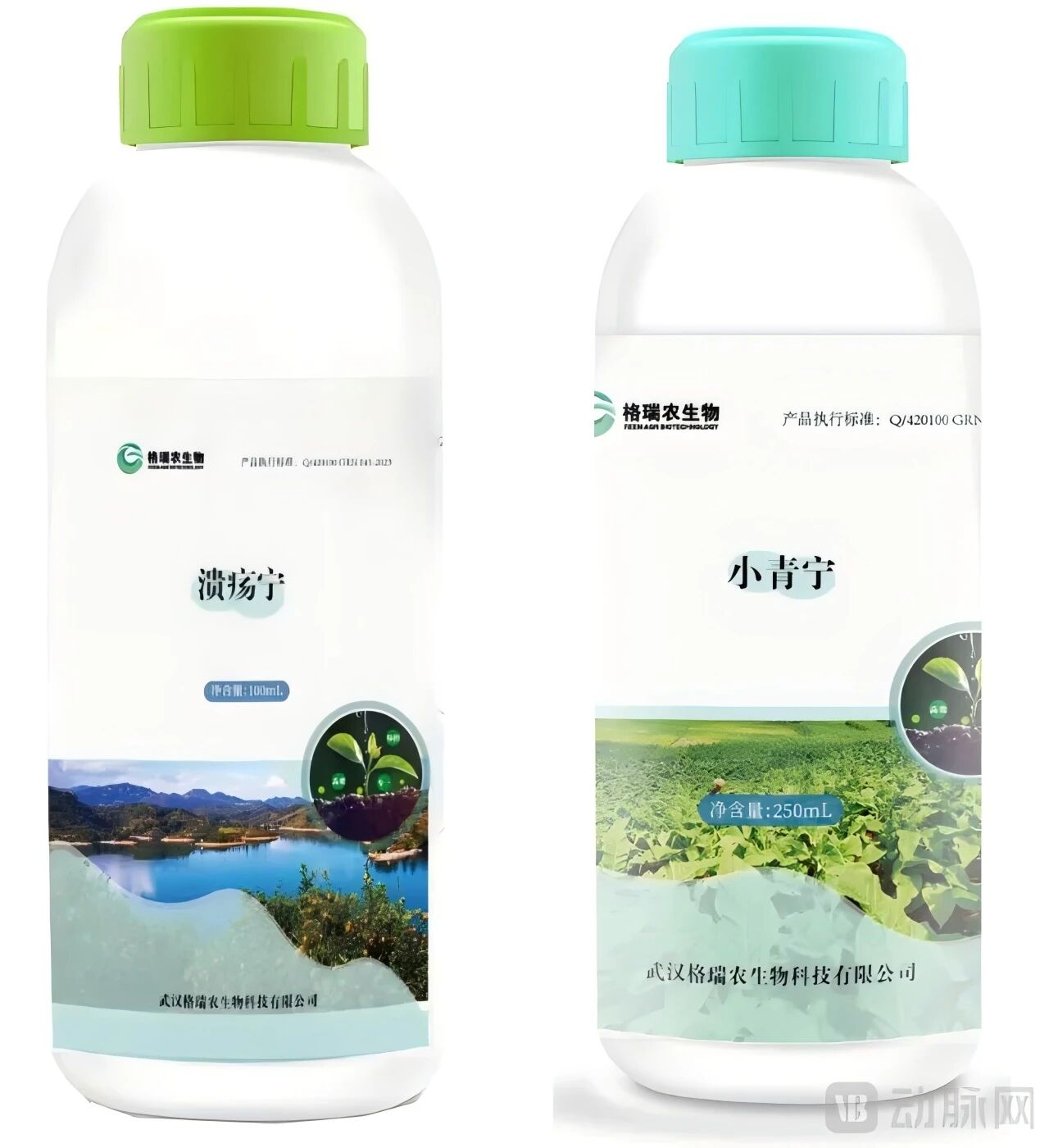 微信图片_2026-06-03_090229_281.jpg 微信图片_2026-06-03_090229_281.jpg
