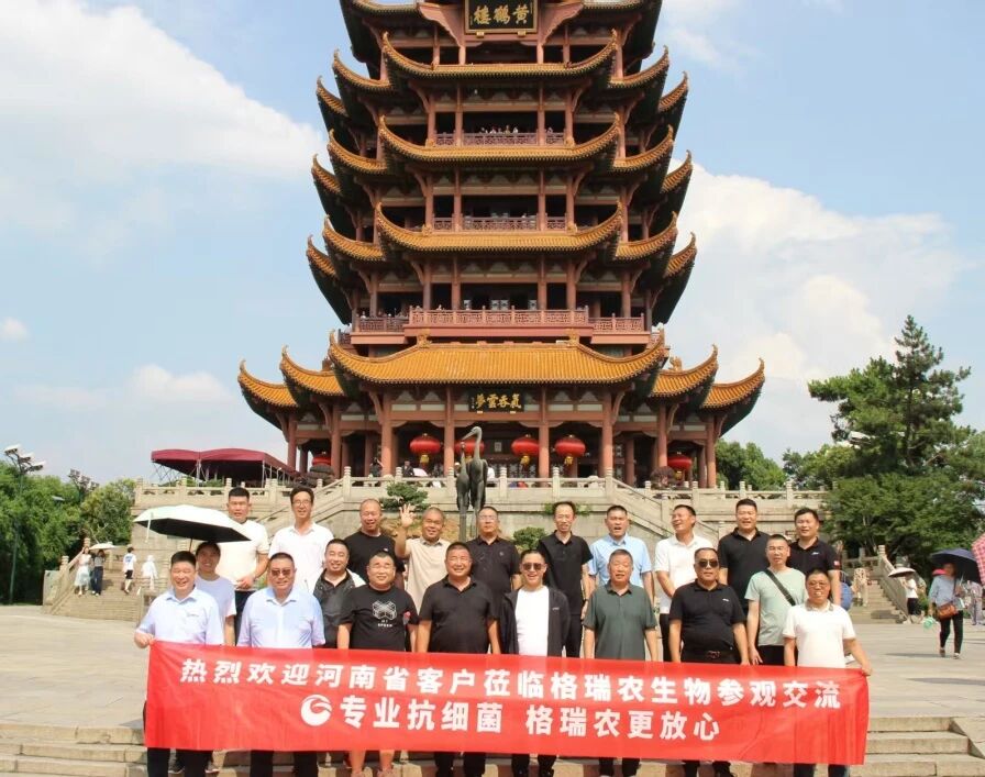 微信图片_2026-06-02_145442_920.jpg