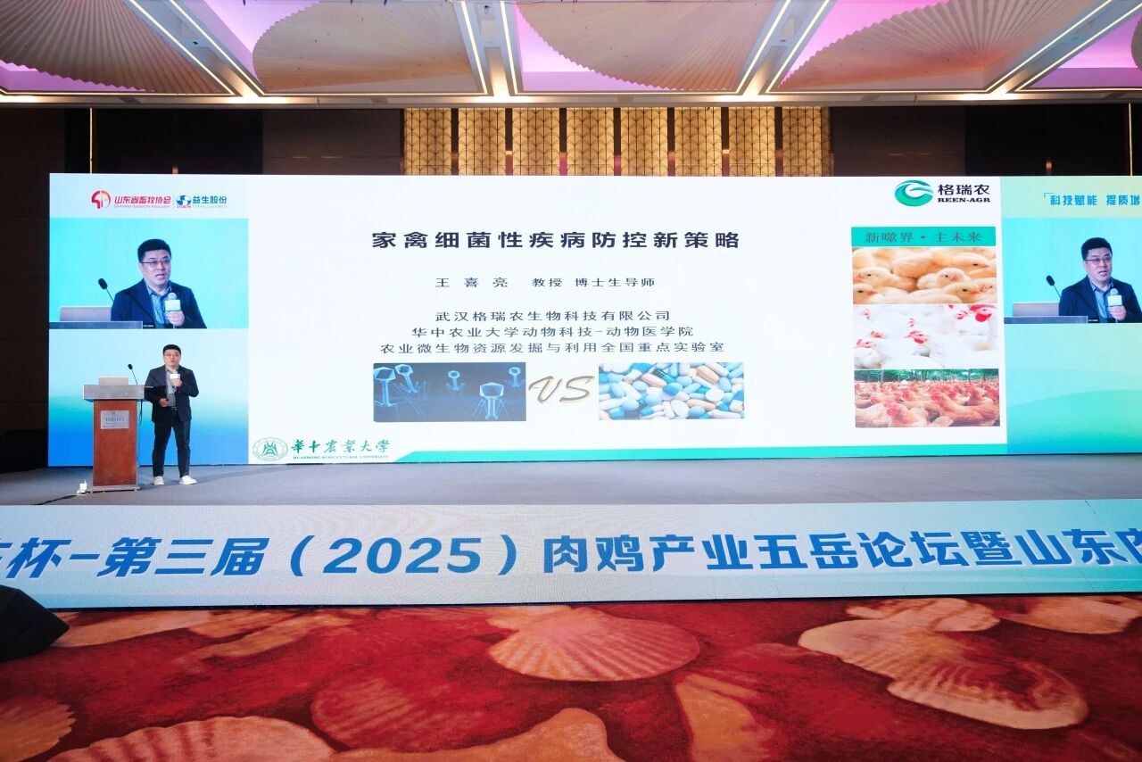 微信图片_2026-06-03_083914_658.jpg 微信图片_2026-06-03_083914_658.jpg