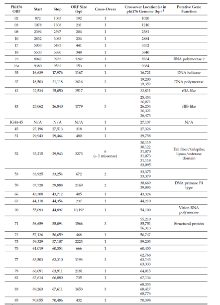 微信图片_2026-06-02_155648_541.png