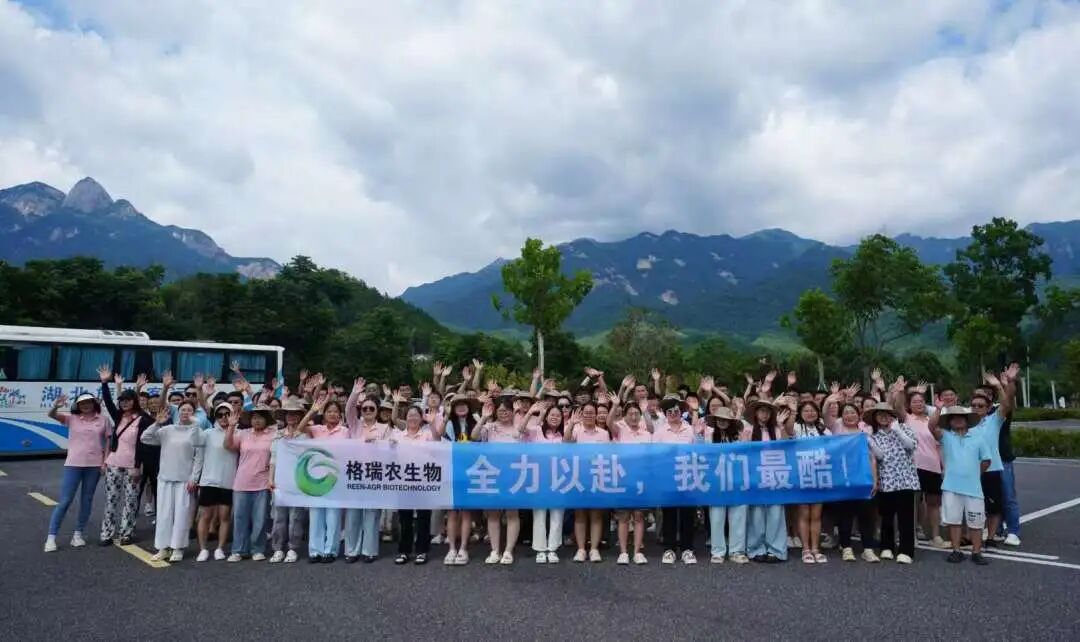 微信图片_2026-06-02_140707_208.jpg